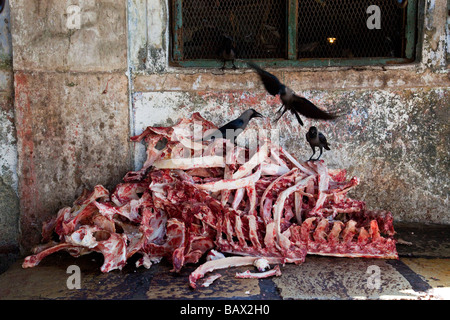 Crawford del mercato della carne in Mumbai India Foto Stock