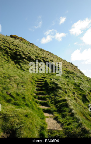 Gradini che portano in cima alla collina, sul Pembrokeshire sentiero costiero,Galles,UK Foto Stock