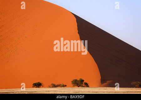 Grande duna di sabbia, Namib Naukluft National Park, Namibia Foto Stock