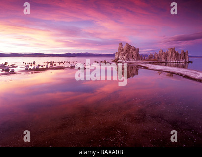 Mono Lake Tufi Foto Stock