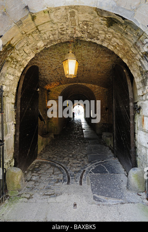 Le gallerie il castello sopra la chiesa collegiata di Notre Dame Dinant Belgio Ardenne Foto Stock