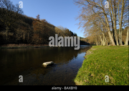 Il fiume Ourthe in Maboge Ardenne del Belgio Foto Stock