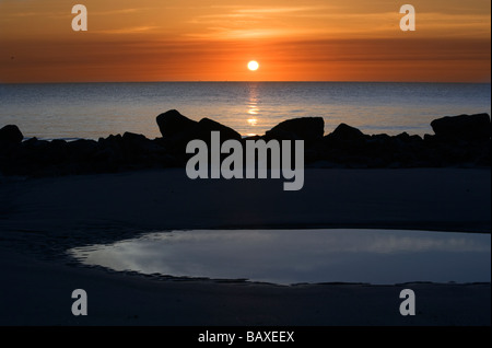 Alba da driftwood beach - Jekyll Island, Georgia Foto Stock