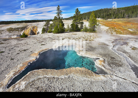 La più bella primavera calda nel parco la Blue Star molla Foto Stock