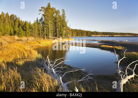 Azzurro lago sulla piatta pianura paludosa nel parco nazionale di Yellowstone Foto Stock