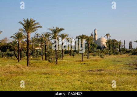 Moschea tra alberi di palma, Hala Sultan Tekke moschea a Larnaka Salt Lake, Larnaka, Cipro del Sud, Cipro Foto Stock