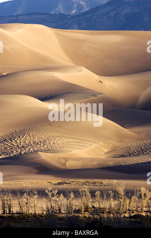 Le dune di sabbia in mattina presto luce - Grande dune sabbiose del Parco Nazionale e di preservare - vicino a Mosca, Colorado Foto Stock