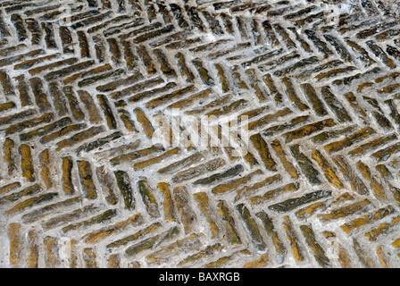 Priory Park Prittlewell Southend on Sea Essex England Regno Unito Foto Stock