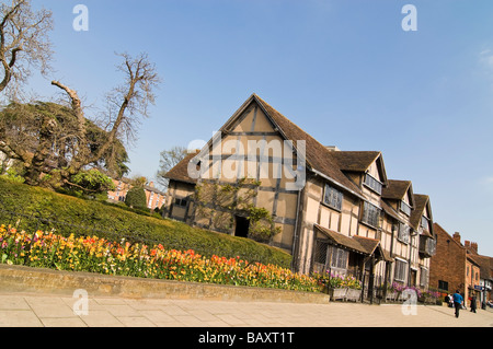 In orizzontale ampia angolazione del vecchio legno incorniciata tudor house, luogo di nascita di Shakespeare, su Henley Street su una luminosa giornata di sole Foto Stock