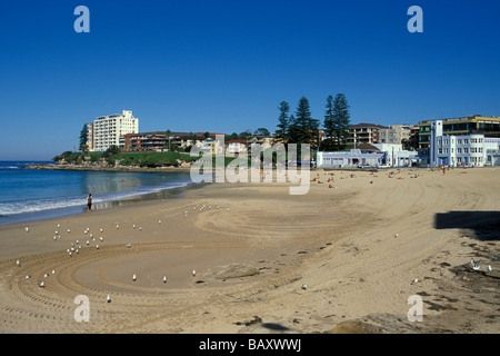 RSL & surf life saving club da Cronulla beach & Park a sud di Botany Bay & Sydney nel Sutherland Shire Nuovo Galles del Sud Australia Foto Stock