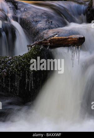 Ghiaccioli appesi da un ramo catturati in una piccola cascata Foto Stock