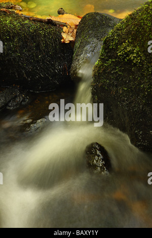 In prossimità di una piccola cascata precipitando tra moss coperto pietre Limousin Francia Foto Stock