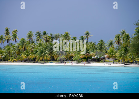 La gente sulla spiaggia di Fakarava Atollo Fakarava, Tuamotus, Polinesia Francese Foto Stock