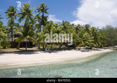 Le palme da cocco sulla spiaggia dell'Hotel Kia Ora, Avatoru, Rangiroa, Tuamotus, Polinesia Francese Foto Stock