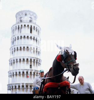 Persone e cavallo con il carrello nella parte anteriore della torre pendente di Pisa, Italia Foto Stock