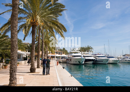 Palm promenade allineata e yacht di lusso a Puerto Portals Marina, Puerto Portals, Maiorca, isole Baleari, Spagna Foto Stock