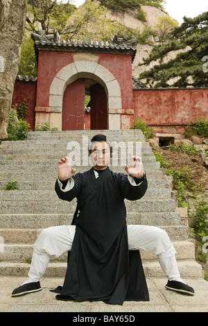 Il monaco taoista Zhang Qingren dimostrando Tai Chi, Hou Shi Wu tempio, Monte Tai, Tai Shan, provincia di Shandong, Patrimonio Mondiale, UNES Foto Stock