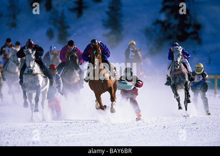 White Turf Skijoring, San Moritz Engadin, Grigioni, Svizzera Foto Stock