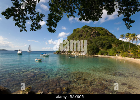 Barche vicino alla spiaggia, plage du Pain de Sucre, Guadalupa Foto Stock