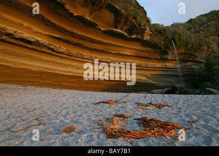 Spiaggia Vicino Punakaiki, Paparoa NP, Isola del Sud, Nuova Zelanda Foto Stock