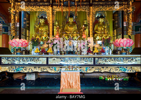 Dorato del Buddha sull altare principale all'interno della Hall del grande eroe al Monastero Po Lin. L'Isola di Lantau, Hong Kong Foto Stock