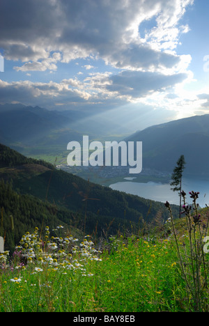 Mare di fiori con le nuvole sopra il lago Zeller, Hundstein, Zell am See, Salzburger Schieferalpen gamma, Salisburgo, Austria Foto Stock