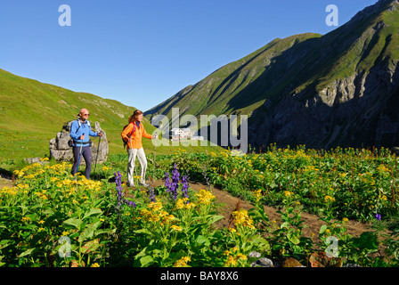 Escursionismo coppia sul sentiero attraverso il mare di fiori nella parte anteriore del capanno Kemptner Huette, Allgaeu gamma, Allgaeu, Svevia, Baviera, Germania Foto Stock