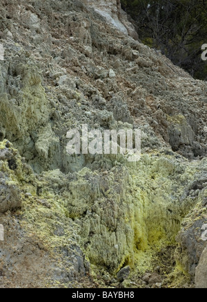 Cristallino di depositi di zolfo al Wai-O-Tapu Thermal Wonderland vicino a Rotorua, Nuova Zelanda Foto Stock