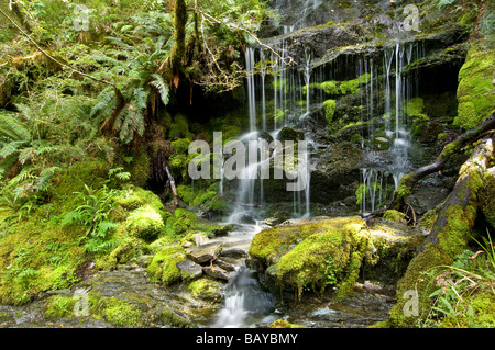 La cascata nel West Matukituki Valley Mt Aspiring NP Isola del Sud della Nuova Zelanda Foto Stock