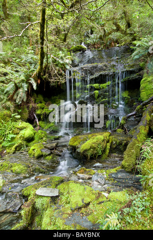 La cascata nel West Matukituki Valley Mt Aspiring NP Isola del Sud della Nuova Zelanda Foto Stock