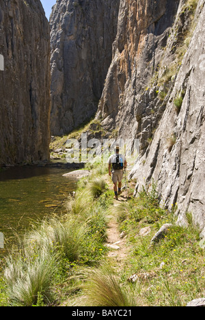 Escursionista presso Grotta Creek Clarke Gorge montagne innevate Kosciuszko Parco Nazionale del Nuovo Galles del Sud Australia Foto Stock