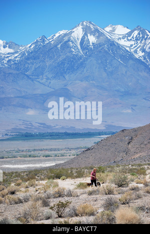 Andare a fare una passeggiata con i cani versante orientale della Sierra Nevada in California nei pressi di indipendenza sulla US Highway 395 Foto Stock