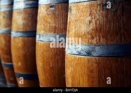 Oak botti da vino, botti da vino Foto Stock