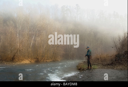 La pesca della trota in la mattina molto presto la nebbia sul Norfork sul White River nel sud del Missouri, negli Ozarks. Foto Stock