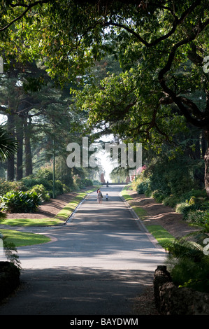 I Giardini Fitzroy Melbourne Victoria Australia Foto Stock