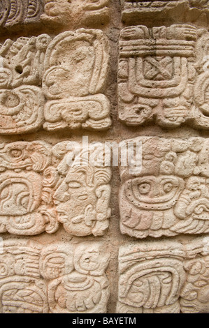 Dettaglio Maya di carving, Copan Ruinas Maya parco archeologico, Honduras. Foto Stock