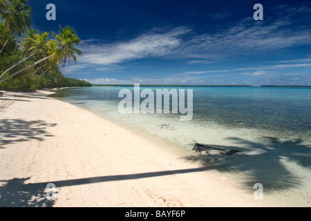 Un litorale vista di Ant Atoll, Pohnpei, Stati Federati di Micronesia. Foto Stock