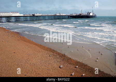 Il Brighton Pier con la spiaggia con la bassa marea in primo piano Foto Stock