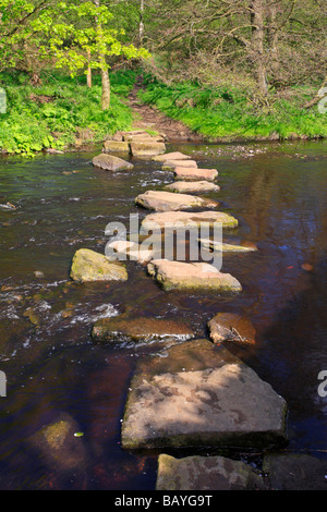 Pietre miliari attraverso il fiume Don a Thurgoland, Barnsley, South Yorkshire, Inghilterra, Regno Unito. Foto Stock