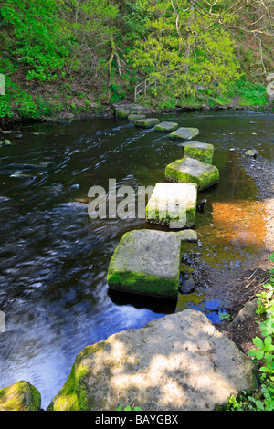 Pietre miliari attraverso il fiume Don a Thurgoland, Barnsley, South Yorkshire, Inghilterra, Regno Unito. Foto Stock