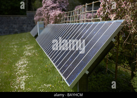 Sole che splende in giù su un array di tinta blu silicio policristallino pannelli solari fotovoltaici in County Tyrone Irlanda del Nord Foto Stock