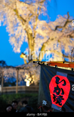 Il ciliegio piangente di Gion (piantato nel 1949) è il punto di riferimento e un importante punto d'incontro durante la stagione dei fiori di ciliegio nel Parco Maruyama, Kyoto JP Foto Stock