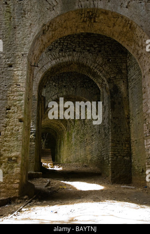 Castello di Argirocastro luogo di nascita del dittatore Enver Hoxha e la cosiddetta Città in pietra Sud Albania Europa Foto Stock