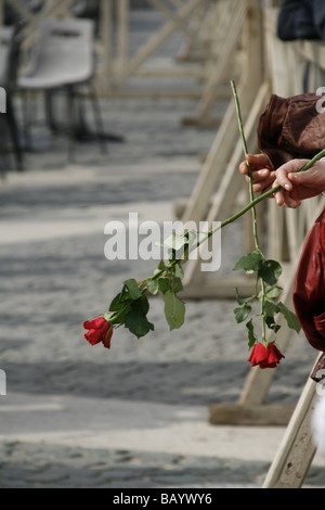 Due donne azienda rose rosse in piazza san Pietro, Roma Foto Stock