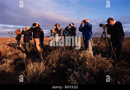 Il birdwatching, outback Asutralia Foto Stock