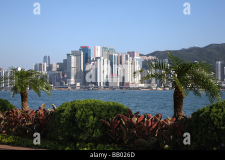 Hong Kong Island prese da Kowloon, Viale delle Stelle Foto Stock