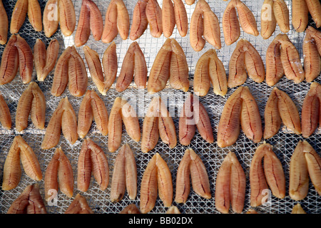 Sale di pesce di essiccazione, Cheung Chau Isola Foto Stock