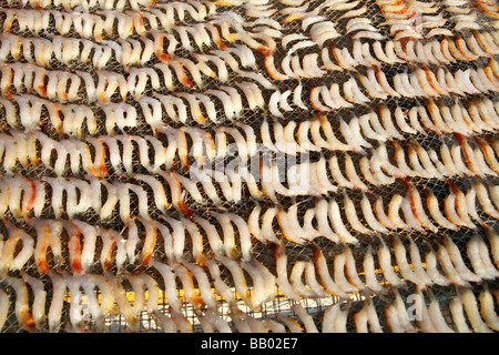 Sale di pesce di essiccazione, Cheung Chau Isola Foto Stock