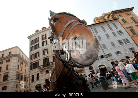 Cavallo e corse del carrello nella piazza della Rotonda Foto Stock