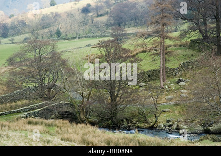 Packhorse bridge over Deepdale Beck, Deepdale, Lake District inglese. Foto Stock